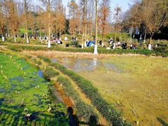 -重庆彩云湖湿地公园