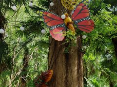 -黄海国家森林公园