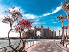 -亚特兰蒂斯水世界冒险乐园