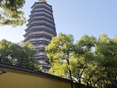 -红梅公园