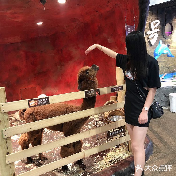 Zoolung zoolung史上最强攻略💕💕💕