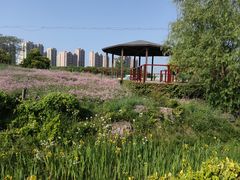 -菊园百果园