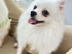 -怪兽屋·羊驼·猫咖·狗咖(俊华广场店)