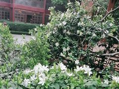 -东江渔村·古典园林·30年粤菜老字号(太和店)