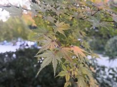 -杭州黄龙洞