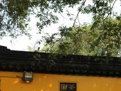 -虞山风景区