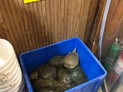 -大圣甲(汉口店)