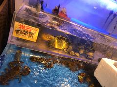 -蒸気海鮮