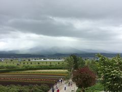 -富田农场