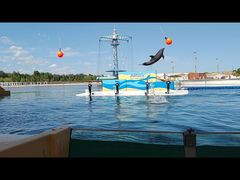 -秦皇岛乐岛海洋王国