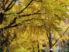 -四川大学(华西校区)