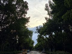 -厦门园林博览苑