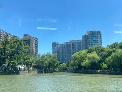 -运河游船(武林门码头)