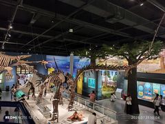 -国家自然博物馆