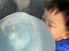 -田园东方蜜桃村的田野营地