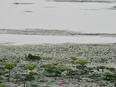 -苏州吴中太湖旅游区