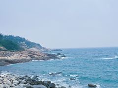 -广东惠东海龟国家级自然保护区