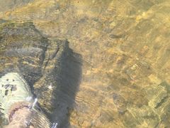 -广州白江湖森林公园