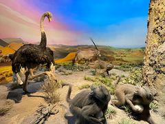 -国家自然博物馆