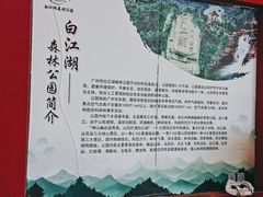 -广州白江湖森林公园
