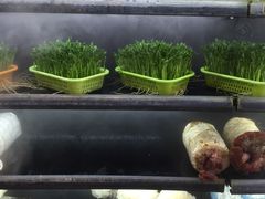 -华中科技大学东三学生食堂