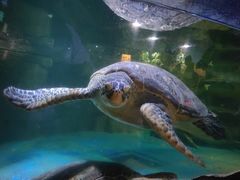 -多彩贵州城极地海洋世界