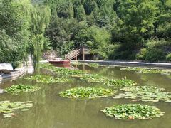 -波罗峪风景区