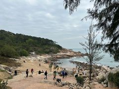 -广东惠东海龟国家级自然保护区