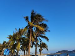 -海南分界洲岛旅游区