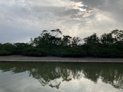 -东寨港红树林旅游区