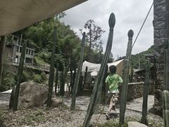 -MOJ coffee(瓯海泽雅水碓坑店)