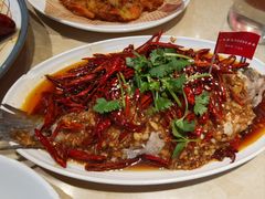 -杨氏青龙虾·羊蝎子(珠江路店)