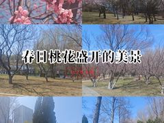 -长春公园(普阳街道)