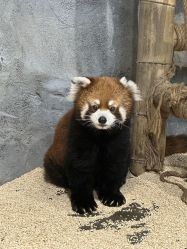 -Zoolung Zoolung动物主题公园(海信广场店)