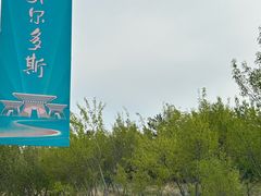 -鄂尔多斯野生动物园