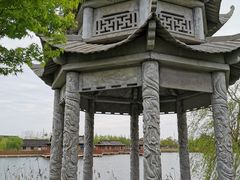 -杭州湾海上花田景区