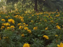 -苏州大学(天赐庄校区)