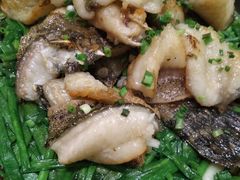 香葱焗石斑鱼-尚一汤·粤菜海鲜(环球港店)