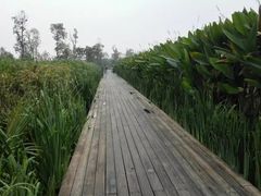 -白鹭湾湿地公园