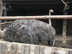 -北京呀路古热带植物园
