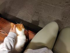 -少林功夫文化中心·独门独院