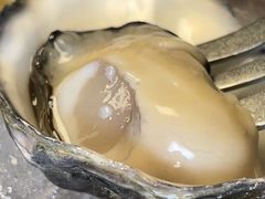 -普朗姆生蚝牛排馆 The Plump Oyster(成都摩方购物中心店)