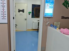 -天使宠物医院·犬猫分诊(彩虹店)