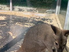 -常州海昌海洋探索馆