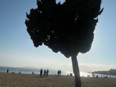 -青岛第一海水浴场