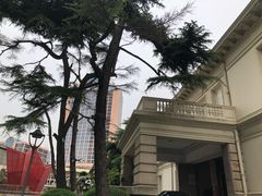 -中国福利会少年宫