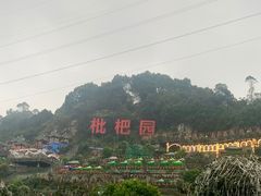 -枇杷园食为鲜火锅(南山店)