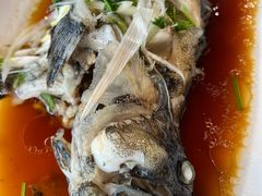 清蒸石斑鱼-巧克力渔家.小船海鲜胶东菜(万平口店)