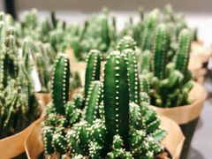 -鹿岛会员店 (龙湖三千集天街店)