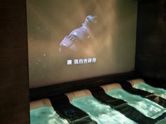 -丽思卡尔顿酒店泳池(金融街店)